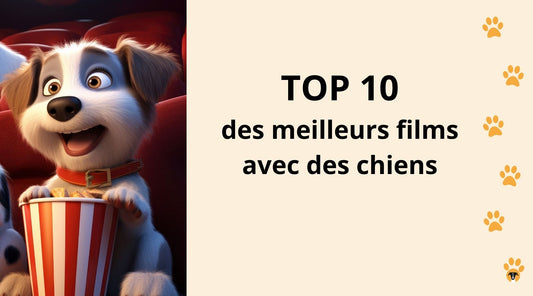 Top 10 des meilleurs films avec des chiens