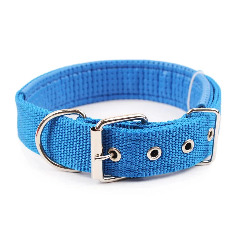 Collier basique en nylon pour chien