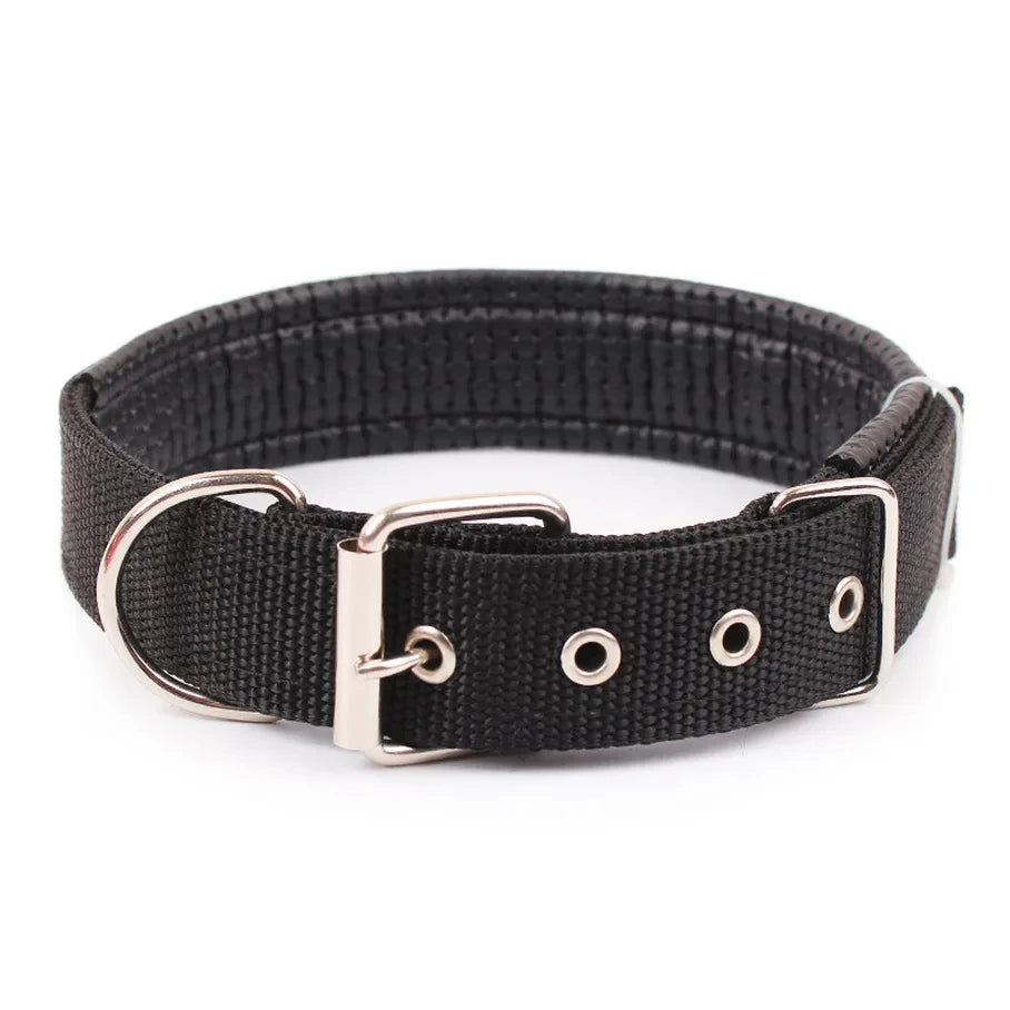 Collier basique en nylon pour chien