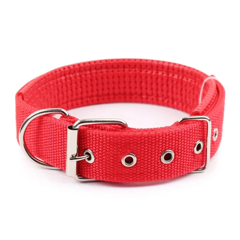 Collier basique en nylon pour chien