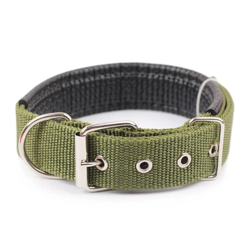 Collier basique en nylon pour chien