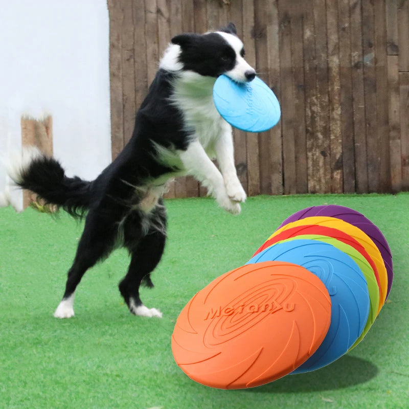 Frisbee pour chien