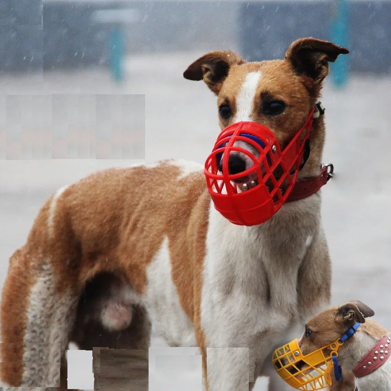 Muselière pour chien