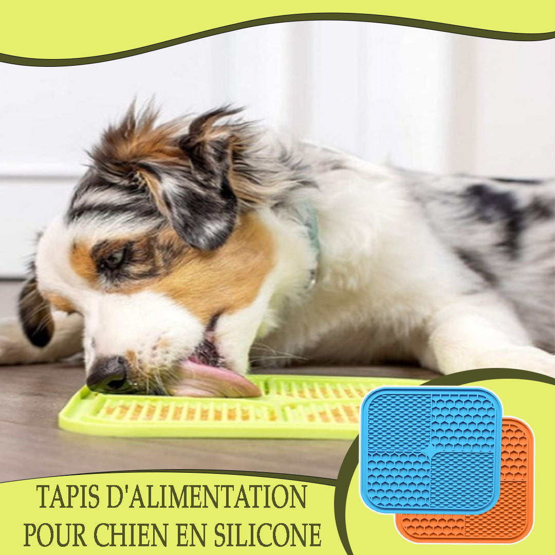 Tapis de léchage pour chien - LickiMat™